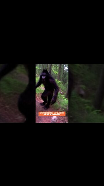 Unknown Wolf Creature in Rocky Mountains National Park #shorts