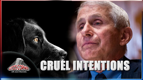 Fauci CAUGHT performing horrific experiments on dogs