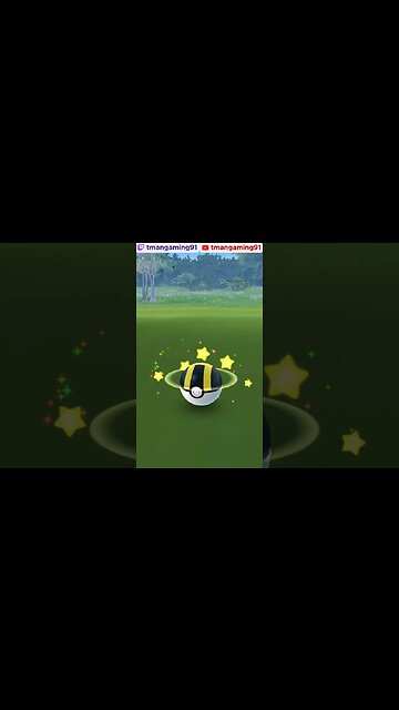 Pokémon GO-Shiny Timburr