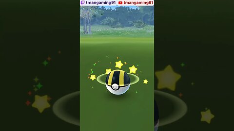 Pokémon GO-Shiny Timburr