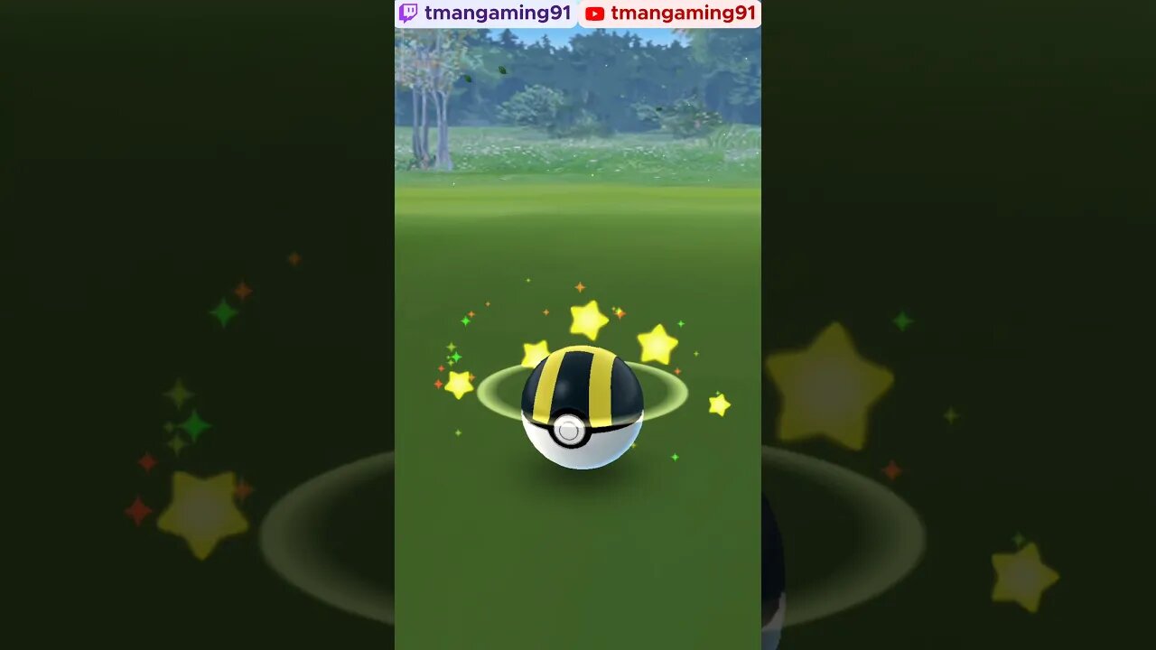 Pokémon GO-Shiny Timburr