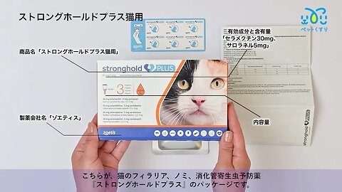 ストロングホールドプラス猫用（2.5～5kg未満）3本