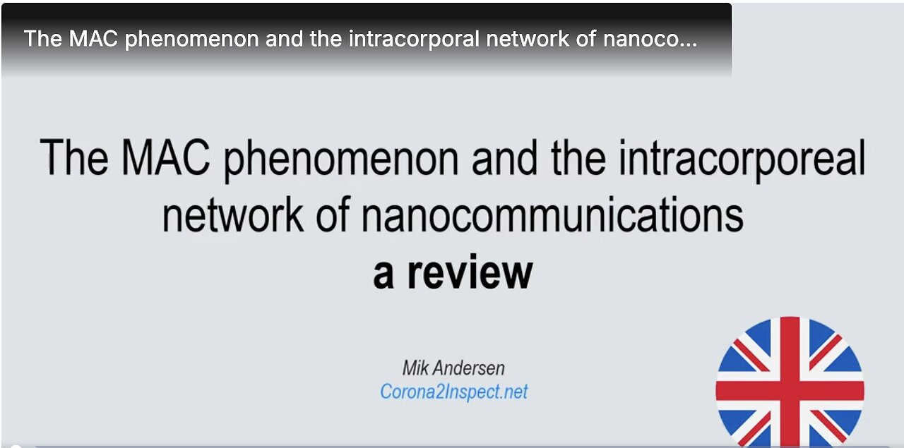The MAC phenomenon and the intracorporal network of nanocomunications. A review