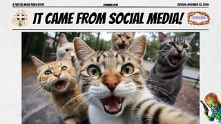 STRAY CAT SOCIAL NETWORK GOES VIRAL: FURRIES TAKE FIRST-EVER ME-OW SELFIE!