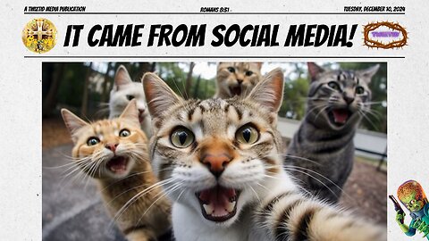 STRAY CAT SOCIAL NETWORK GOES VIRAL: FURRIES TAKE FIRST-EVER ME-OW SELFIE!