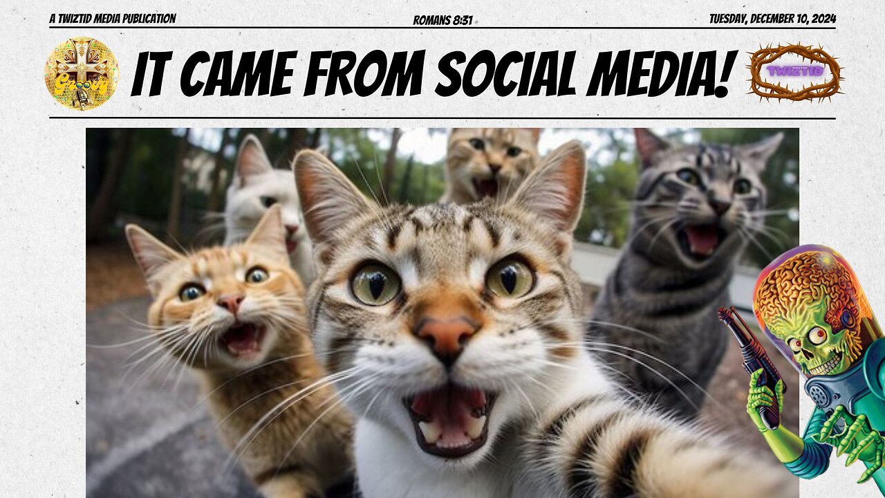 STRAY CAT SOCIAL NETWORK GOES VIRAL: FURRIES TAKE FIRST-EVER ME-OW SELFIE!