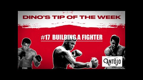 DINO'S BOXING TIP OF THE WEEK #17 - BUILDING A FIGHTER