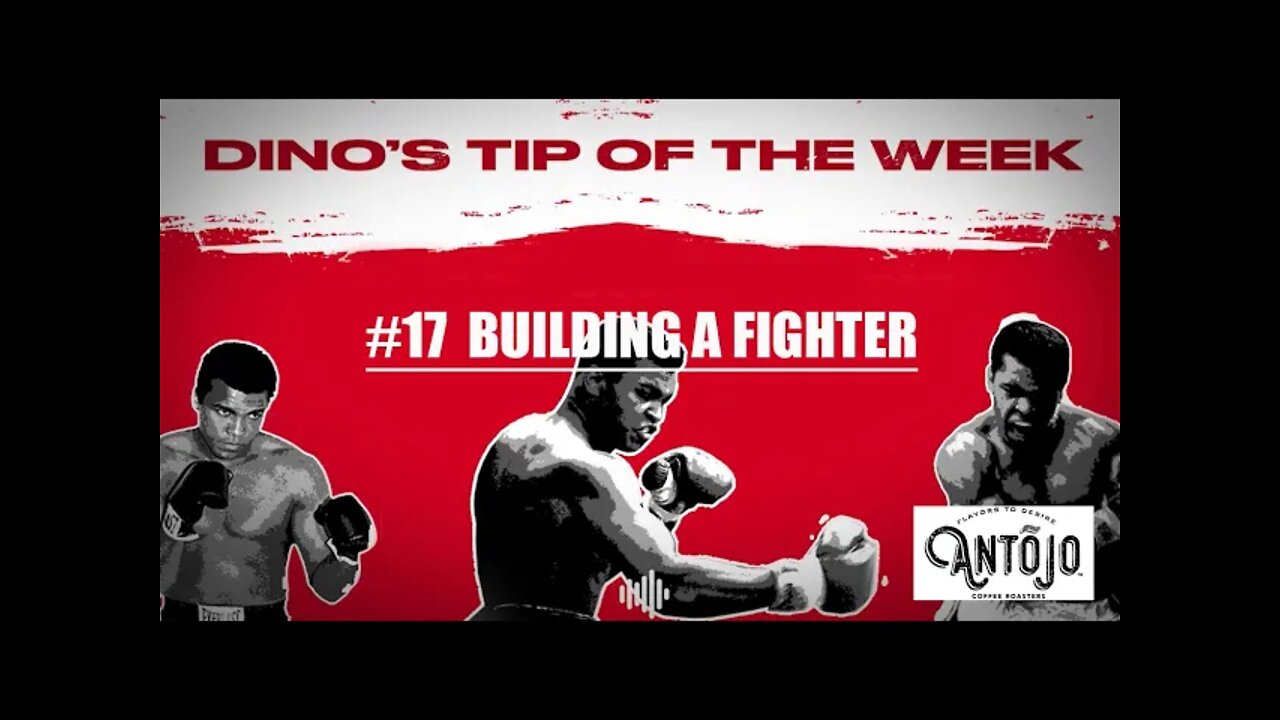 DINO'S BOXING TIP OF THE WEEK #17 - BUILDING A FIGHTER