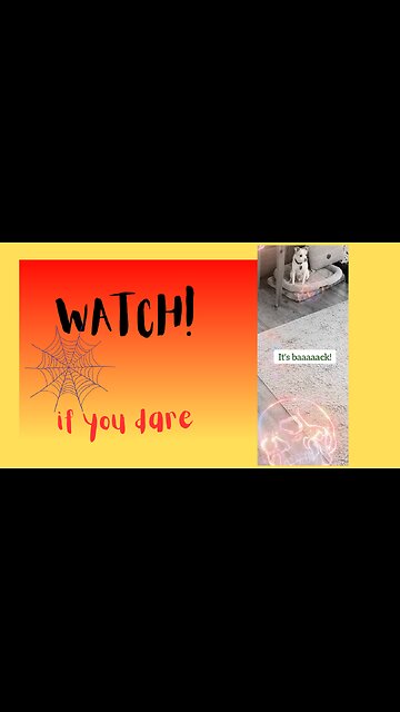 What's so scary? 😱