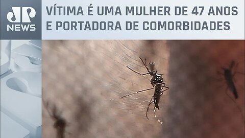 Ricardo Nunes confirma primeira morte por dengue em São Paulo neste ano