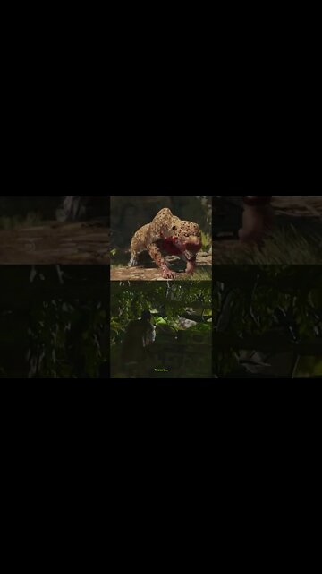 Na selva não existe honra #shorts