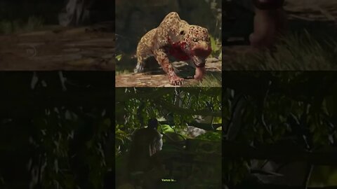 Na selva não existe honra #shorts