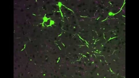 「ハリーポッター」で使用されたテクノロジーが科学を支える