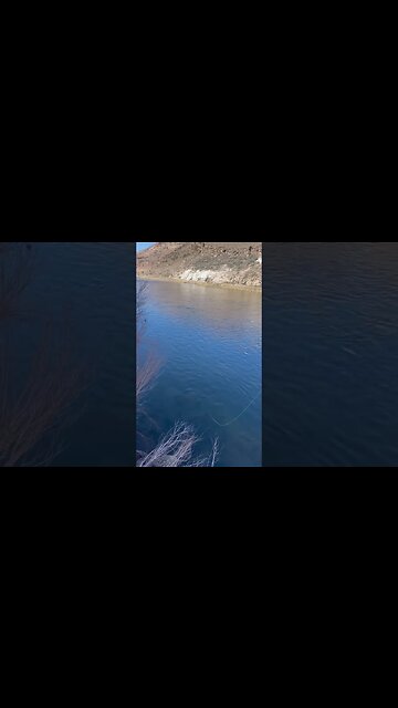 Fish are rising #flyfishing #trout