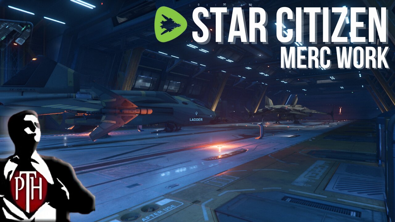 Security Contractors - Star Citizen Mercenary Gameplay