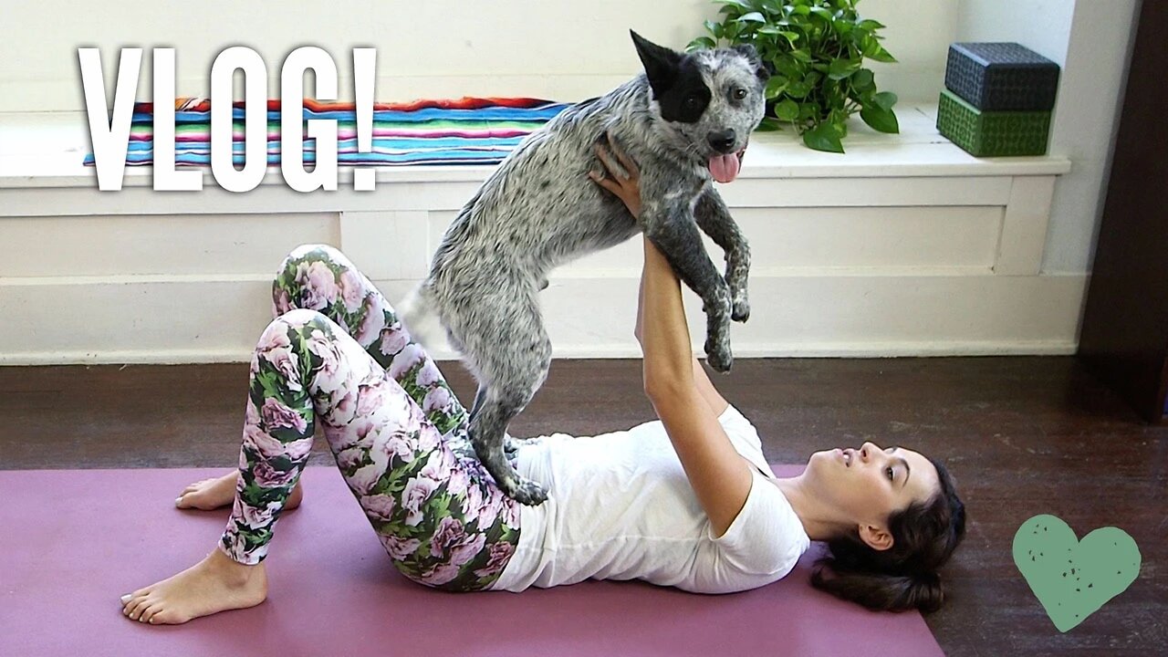 Yoga Q&A + Personal Stuff + Puppy!