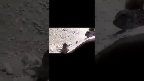 E depois dizem que é HISTÓRIA DE PESCADOR 🤔