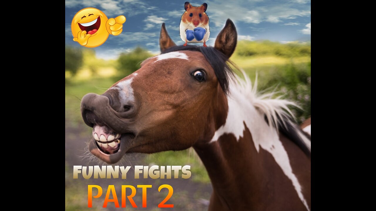 Animals Funny Fight Part 2