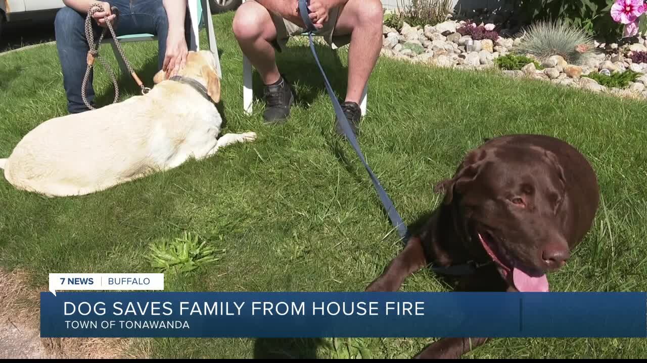 'If you had to think about it, he put us first to save us': Dog saves family from burning home