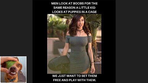Memes That Will 99.939% Make You Laugh. (e164)