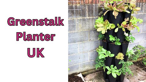 I Built The Largest Greenstalk Vertical Planter in UK!