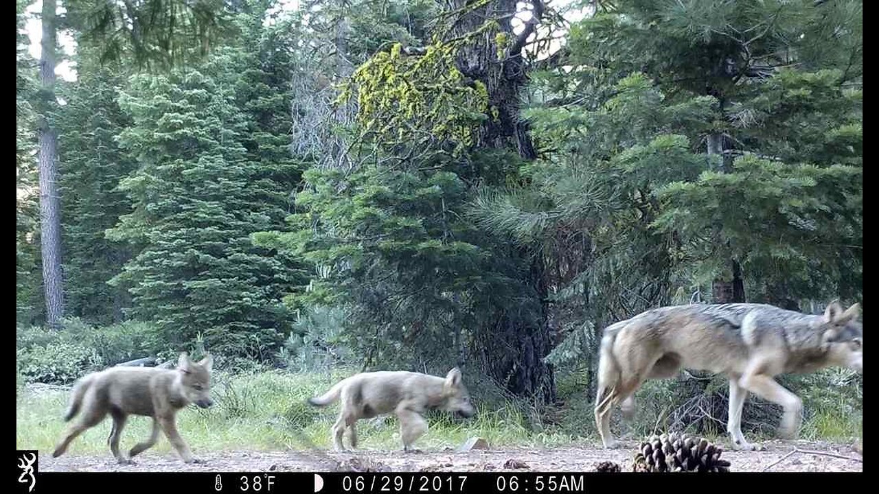 Three Died in the Colorado Wilderness, Trying to Live 'Off the Grid'