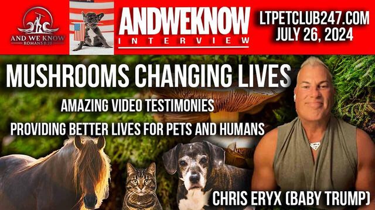 LT w/ Chris Eryx (Baby Trump): Mushrooms are changing lives, Many Powerful Testimonies 7.26.24