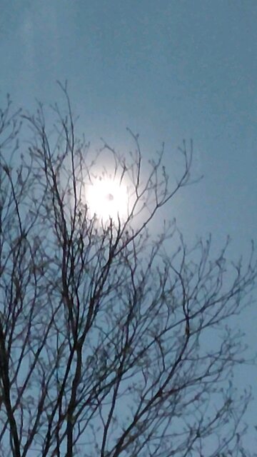 2024 Total Eclipse, view 2