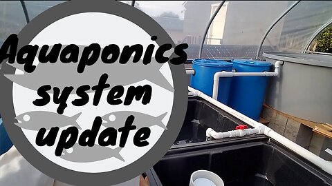 Aquaponics system update (Hybrid aquaponic system)