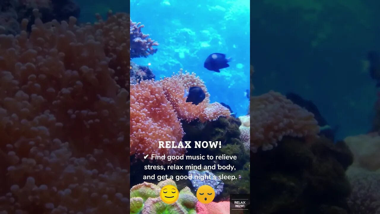 Relaxing, calming, and peaceful music with beautiful ocean floor videos for meditation #Shorts