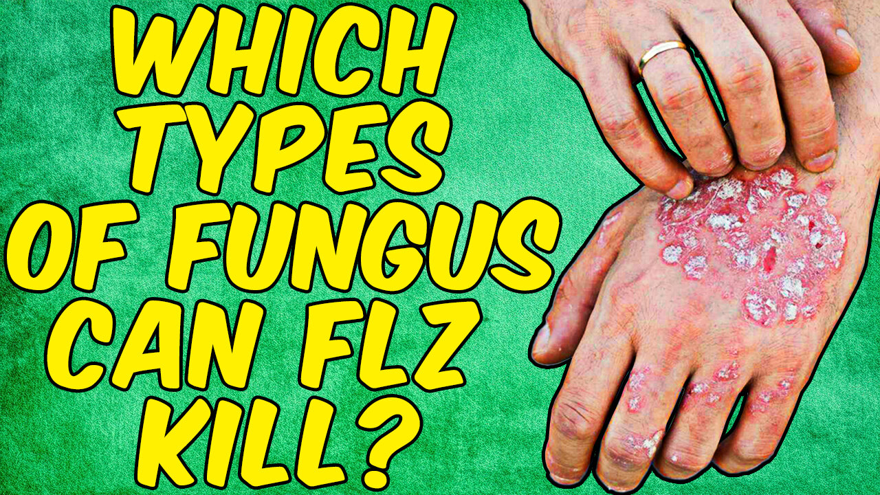 Which Types Of Fungus Can Fluconazole Kill? - (Science Based)