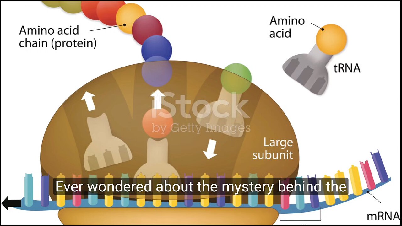 The function of tRNA and its significance.