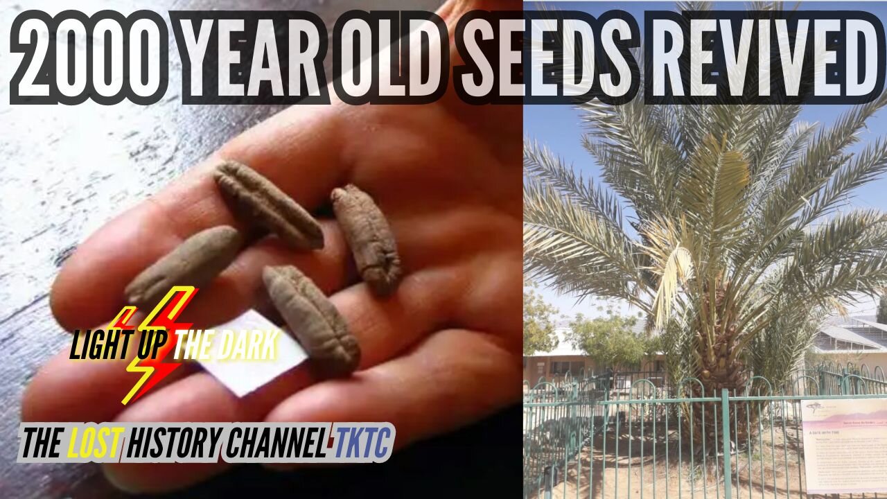 2000 Year Old "Extinct Date Seeds" DISCOVERED in 1963 Germinated in 2005 is NOW over 10 Feet Tall