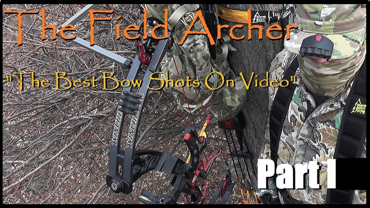 BOWHUNTING: Best Bow Shots Series I