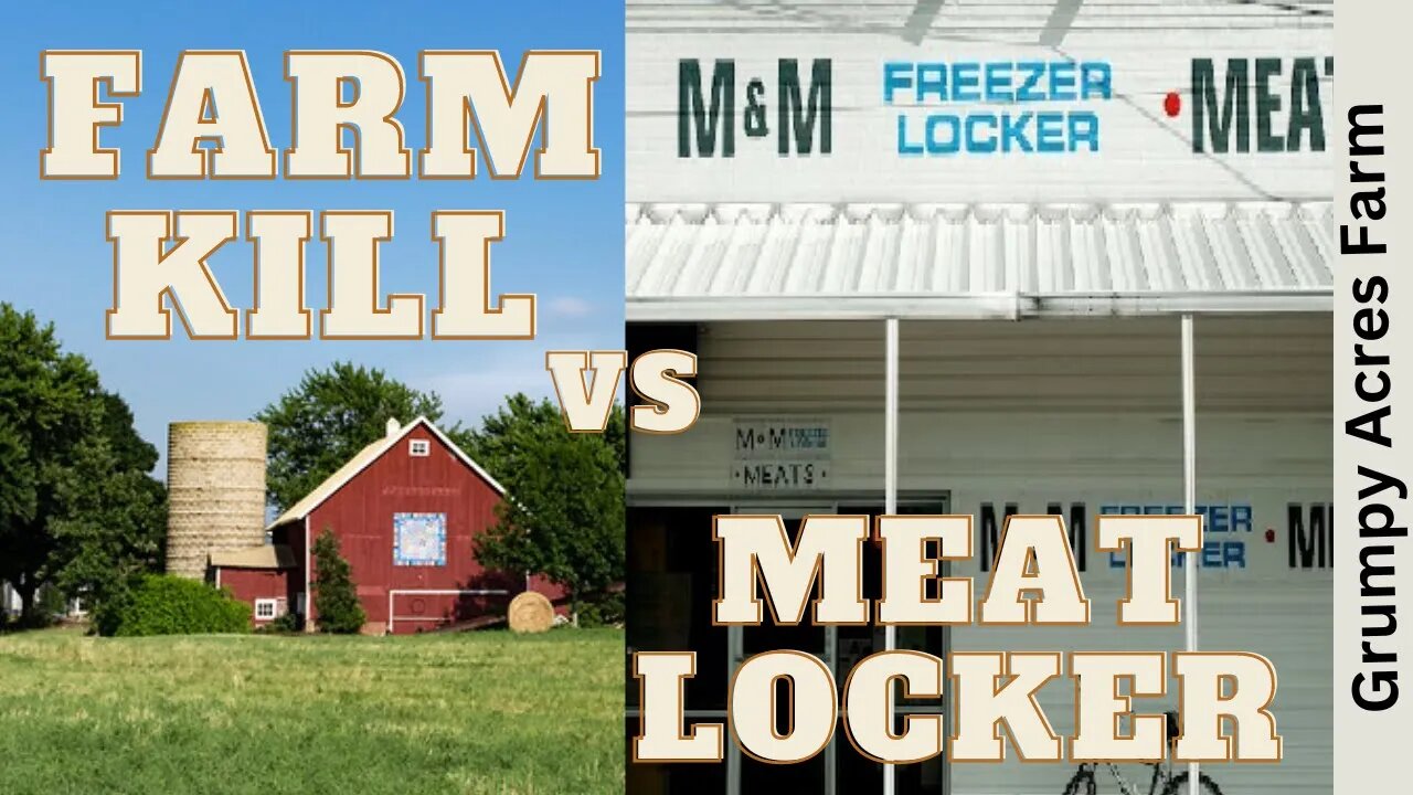 Some Thoughts On Homestead Farm Kill vs Meat Locker