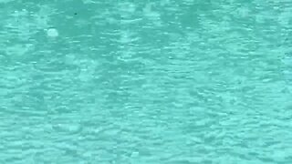 Relaxing Rain Sounds: Soothing Rainfall for a Peaceful Ambience