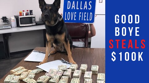 Civil forfeiture turns good boye into crook