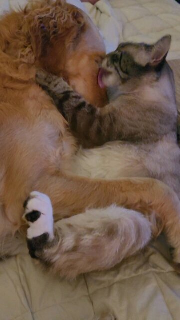 When we're being sweet