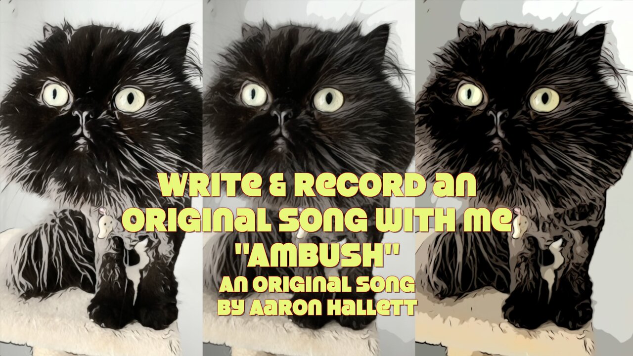 Write & Record an Original Song With Me "Ambush" an Original Song by Aaron Hallett