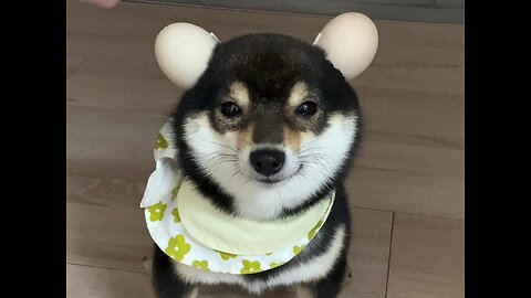 I have a stylish earphone