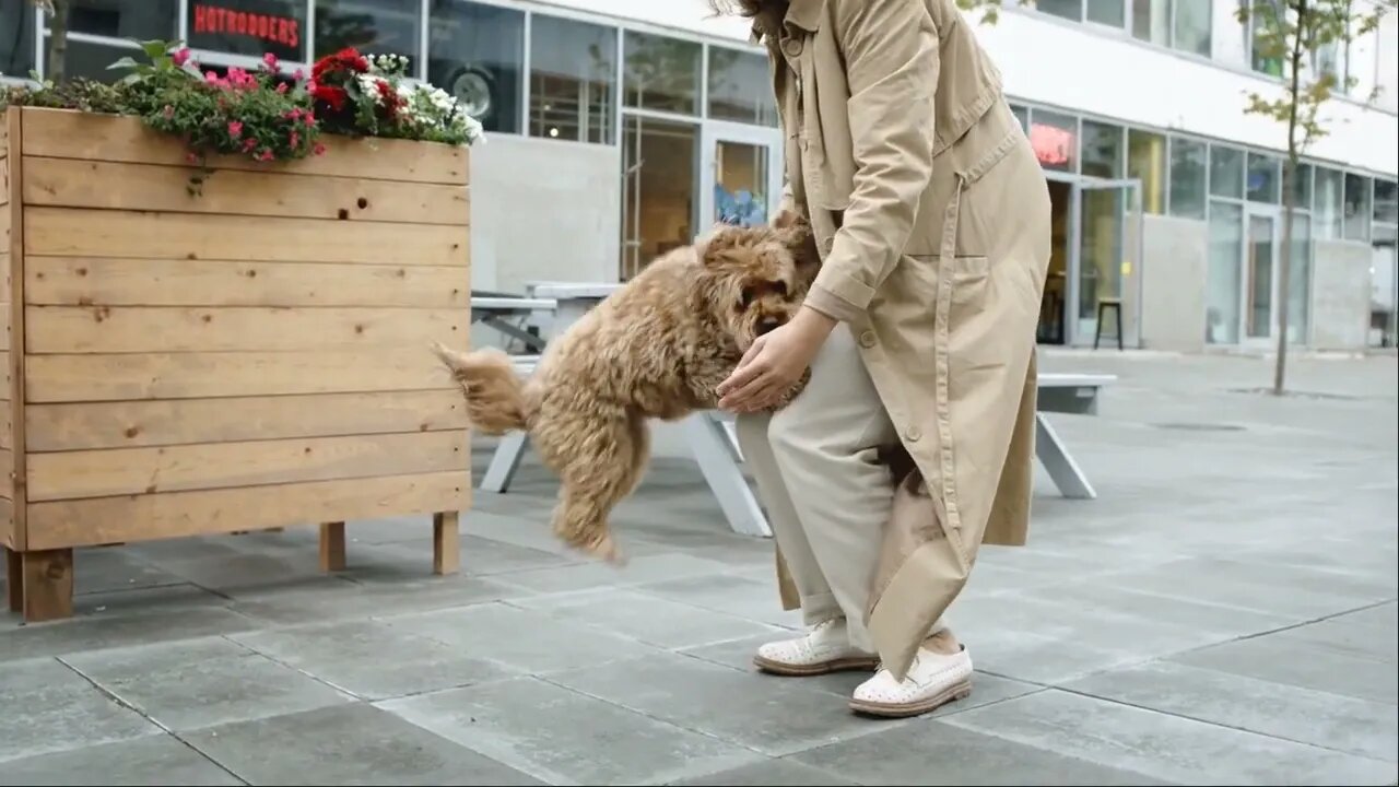Animal planet, touch view