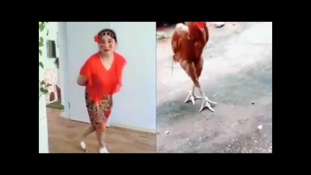Nagaland Funny video | Nagamese Funny videos | Nagamese Funny collection