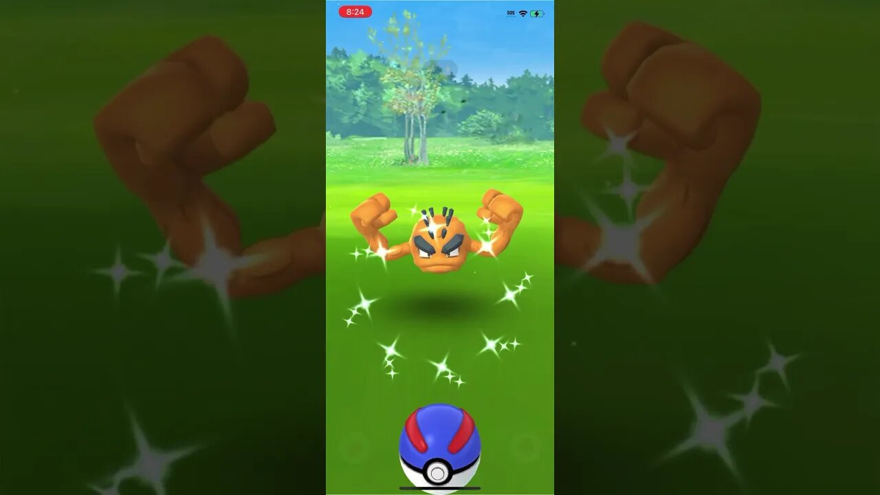 Shiny Compilation