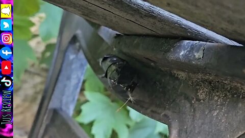 Sitting Right Under A Geocache