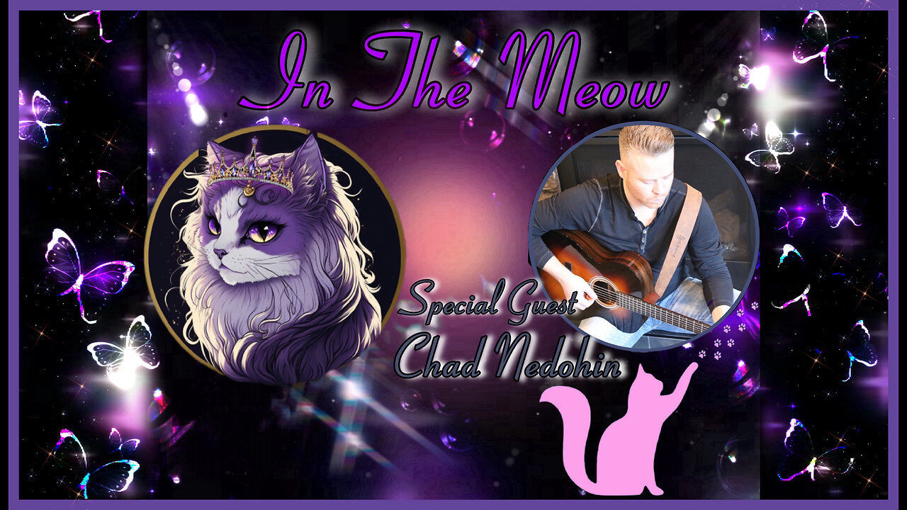 In The Meow | With Special Guest Chad Nedohin