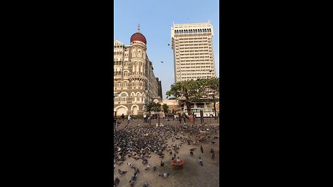 mumbai Taj hotel 🏨