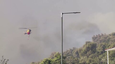 Hundreds fight raging wildfire burning towards Greek capital | REUTERS