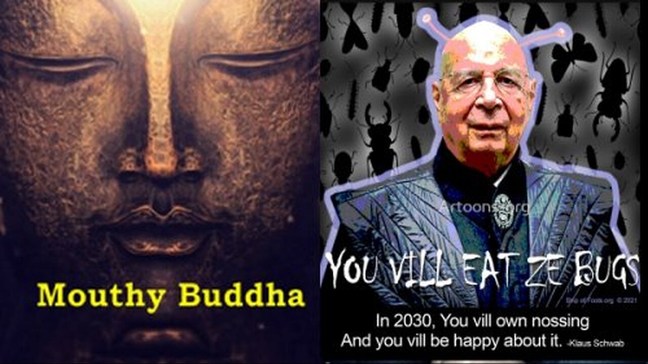 Mouthy Buddha The Agenda 2030 Great Reset [Vol.3] SCHWAB & The NWO! [31.03.2023]