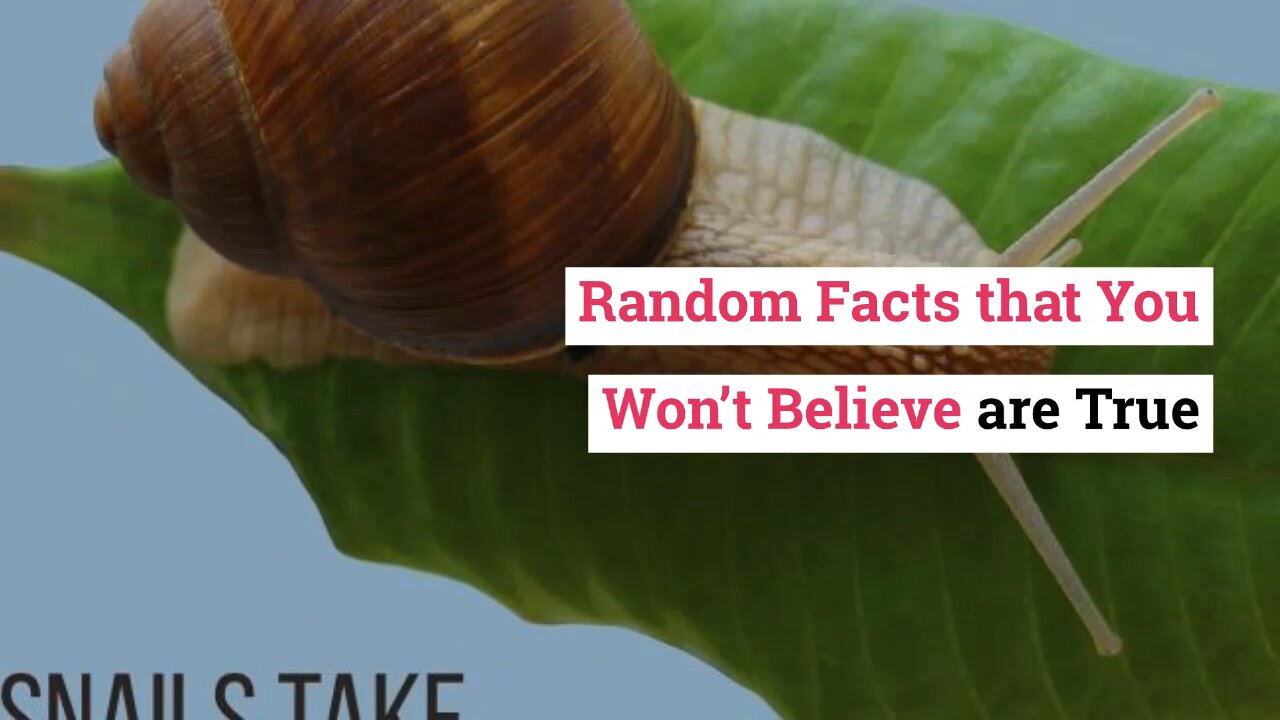 Random Facts that You Won't Believe are True!