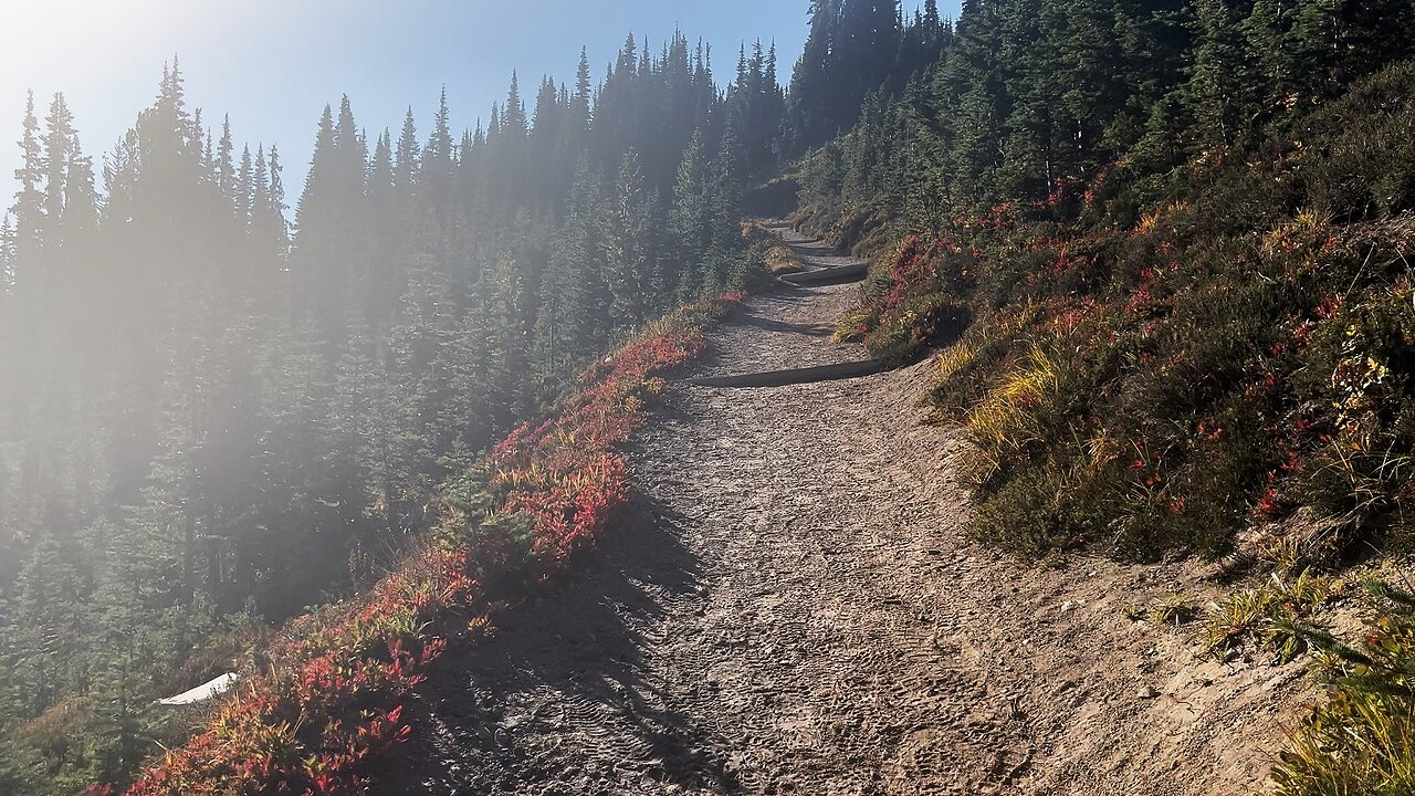 Hiking Burroughs Mountain Trail to Glacier Overlook & HANGING WITH MARMOTS! | Mount Rainier | 4K